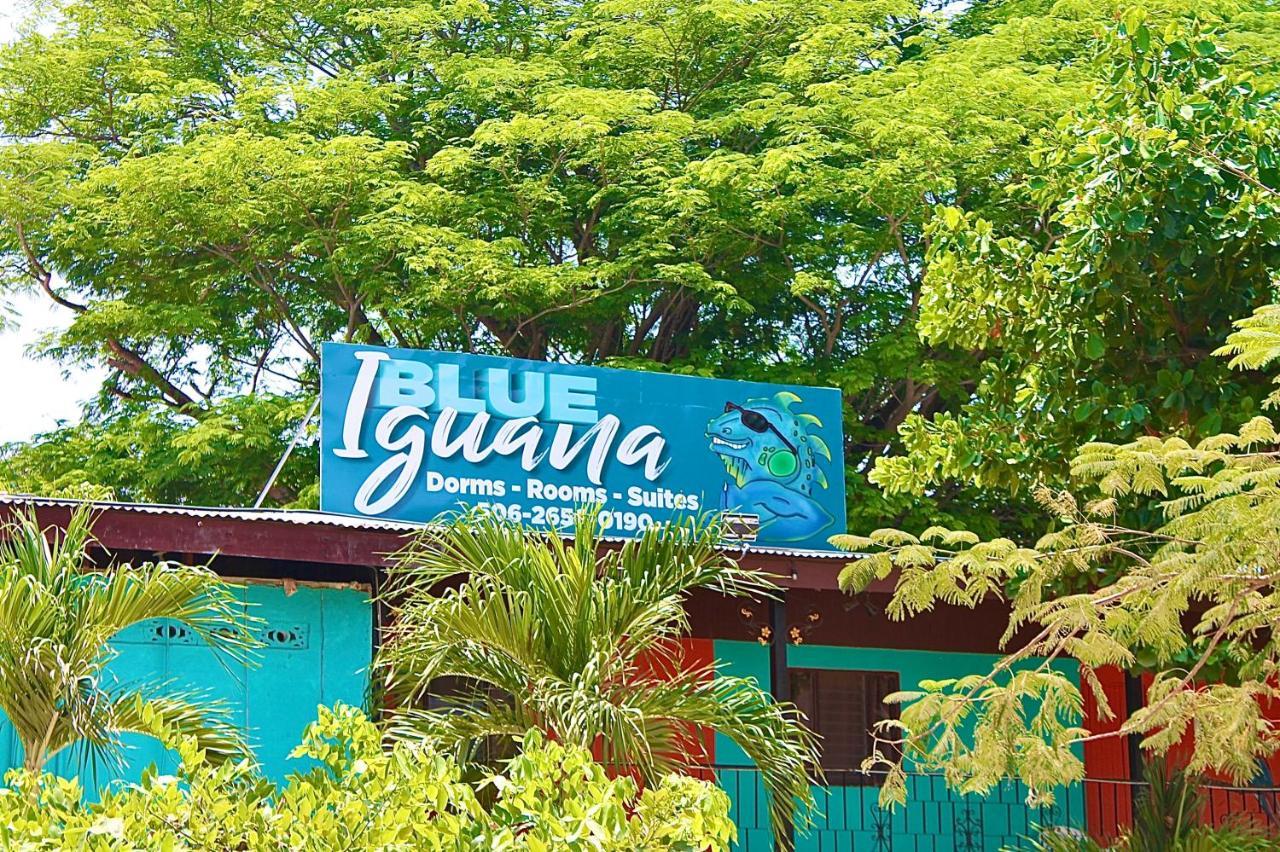 Blue Iguana Hotel Samara Ngoại thất bức ảnh