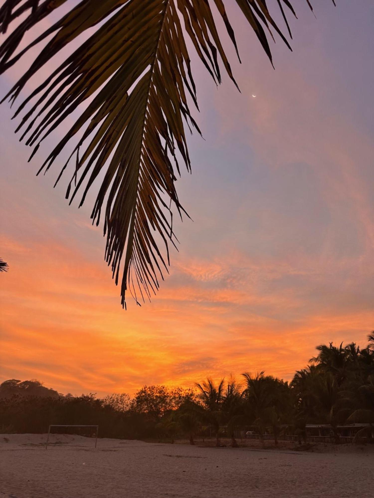 Blue Iguana Hotel Samara Ngoại thất bức ảnh